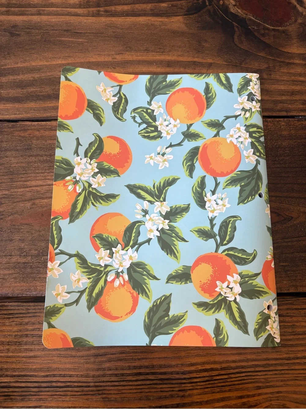 Monthly Planning Calendar 2025-2027 in Mint with Orange Floral Print